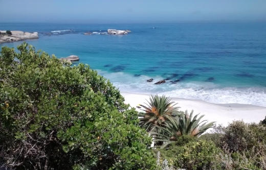 gallery/img_20180114_103800235(1)