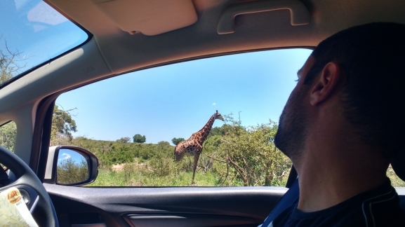 gallery/img_20180105_114917165_hdr